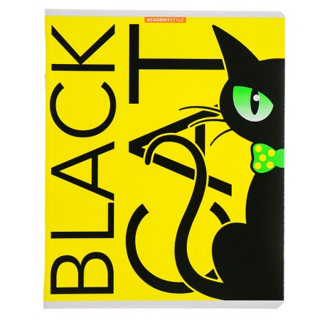 Notebook of 48 sheets in the Black Cat cage, covered cardboard, fluorescent paints, mix-3