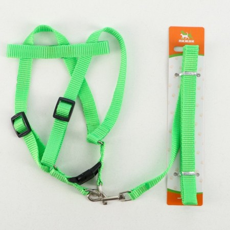 Set "Basis", leash 120 x 1.5 cm, OG 32-46 cm, green-4