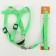 Set "Basis", leash 120 x 1.5 cm, OG 32-46 cm, green