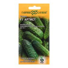 Cucumber seeds 