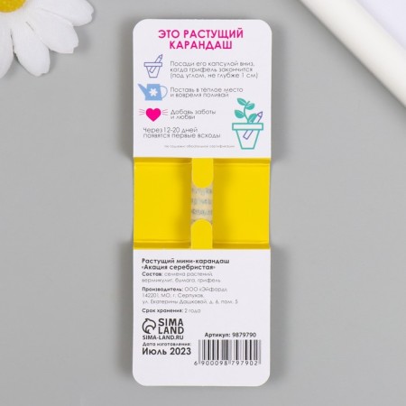 Growing Mini gift pencils with love "Silver acacia"-1