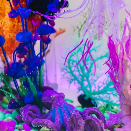 Decor for the Aquarium "Osminog", 12 x 11 x 5 cm-1