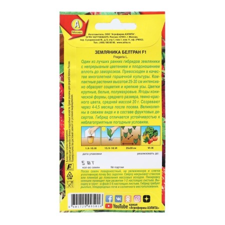 Strawberries "Beltran", F1, 5 pcs-1
