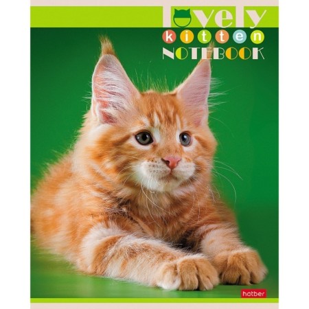A notebook of 60 sheets in a cage, "everyone loves cats", covering a shared cardboard, an offset block 65g/m2, 5 species, mix-4