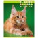 A notebook of 60 sheets in a cage, "everyone loves cats", covering a shared cardboard, an offset block 65g/m2, 5 species, mix