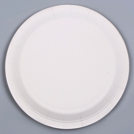 Paper plate, in the set 6 pcs.-2