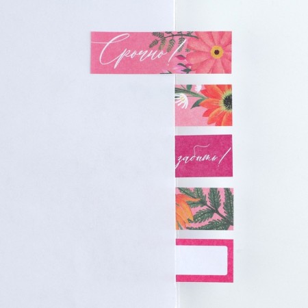 Stickers-stuck, on the substrate "The most beautiful", 5 pcs, 30 l/pcs-1