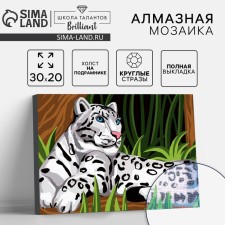 Алмазная мозаика с полным заполнением на подрамнике «Снежный барс», 20 × 30 см