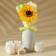 Gift set of cosmetics "Bright Spring", Lapish soap, pure happiness