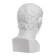 Gypsum figure famous people head Augustus, 26 x 28 x 48 cm