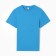 T -shirt male, turquoise color, size 54