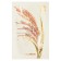 Facial face mask The Saem Natural Mask Sheet Rice, 21 ml
