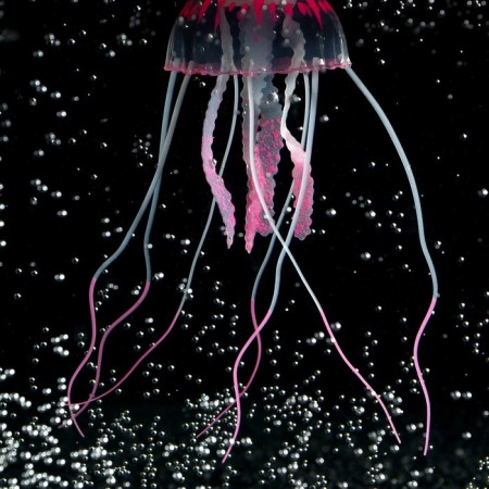 Decor for the Aquarium "Medusa" silicone, with a neon effect, 5 x 5 x 15 cm, pink-2