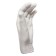 Gypsum figure anatomical details: "Women's brush" 18.5 cm