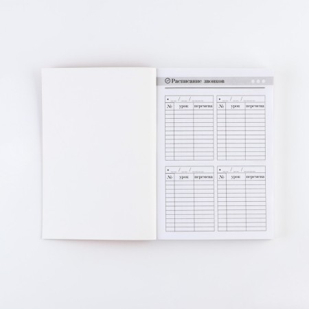 Diary "Diary of the best teacher", A5 format, 160 sheets, soft cover-4