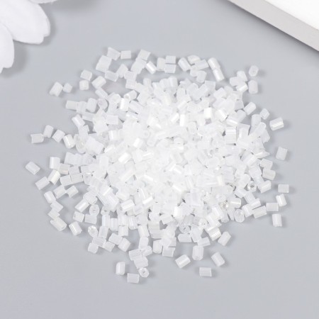 Zlatka beads 10/0, 10 g, No. 1161 White-1