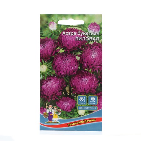 Flowers Astra Bouquet "Lilac", 0, 2 g
