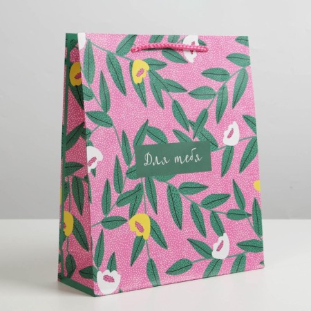 Gift laminated package, packaging, for you, ml 21 x 25 x 8 cm-2