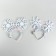 Carnival rim "snowflakes", light, species mix