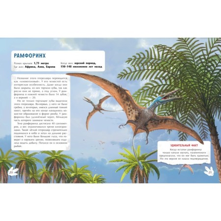 Book with stickers "Flying Predators", Burtseva N.-3