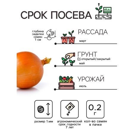 Семена Лук репчатый "Эксибишен", 0,2 г-1