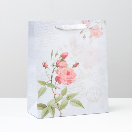 Packet Laminated "Tender Letter" 26x32x12