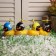 Duck with a propeller Torso, yellow color, mix