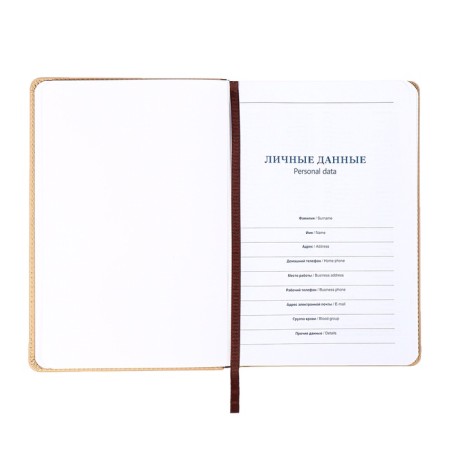 The diary is low, the PVC cover, A5 format, 140 l, cell, with a strap, beige-6