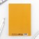 Diary in the thin cover A5, 72 sheets "Kotik"