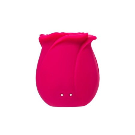 Vacuum-wave stimulator Satiffyer Pro 2 Classic Blossom, silicone, 6.6 cm-2