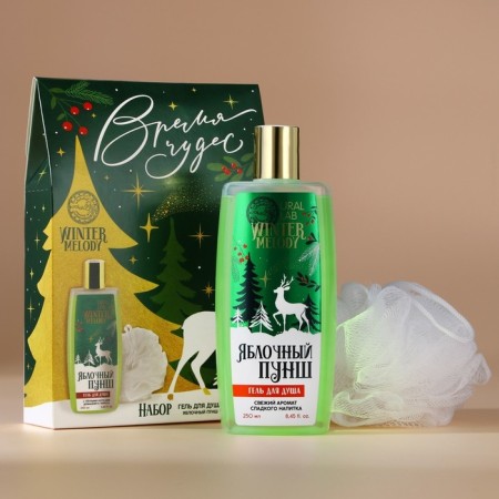 Gift set of cosmetics, shower gel 250 ml and washcloth, Winter Melody by Ural Lab-1