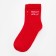 New Year's socks KAFTAN "Holly" p. 36-39 (23-25 ​​cm)