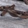 Decorative metal hook "Anchor" 13.5x12x3.5 cm