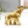 Souvenir Polystone "Golden Elephant" mix 10x10.5x4 cm