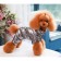 Kombinson "Shine", size S (DS 24 cm, OG 34, Osh 23 cm, up to 5 kg), silver