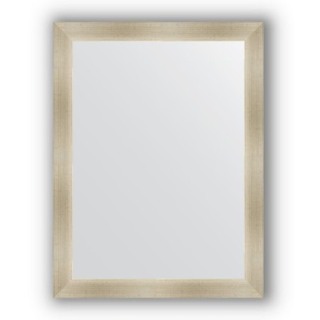 Mirror in the baguette frame - Half silver 59 mm, 64 x 84 cm, EvoForm