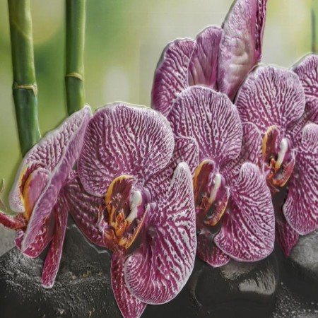 Kitchen apron "Wanda orchid", 1000x600x0.5-2