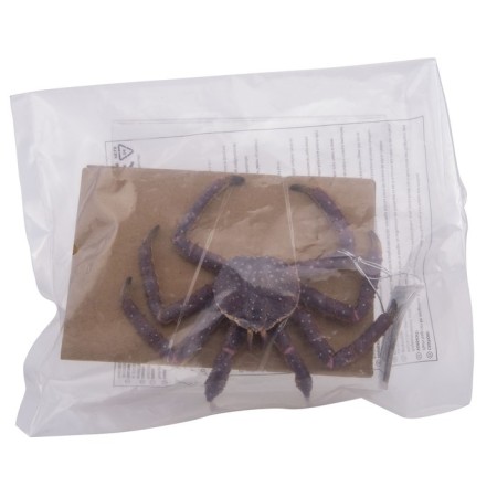 Figure "Kamchatka crab"-3