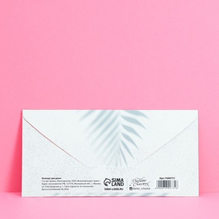 Money envelope "Gift for you", 16.5 × 8 cm-1
