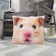 Decorative Ethel Pillow "Hamster" 40x40 cm, Gabardin, 100% p/e
