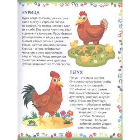 Animals and birds: Encyclopedia for kids. Kulakova. E.S.-4