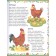 Animals and birds: Encyclopedia for kids. Kulakova. E.S.
