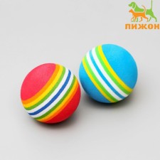 A set of 2 toys 