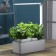 Hydroponic installation with phytolamps, Hobbyfarm mini