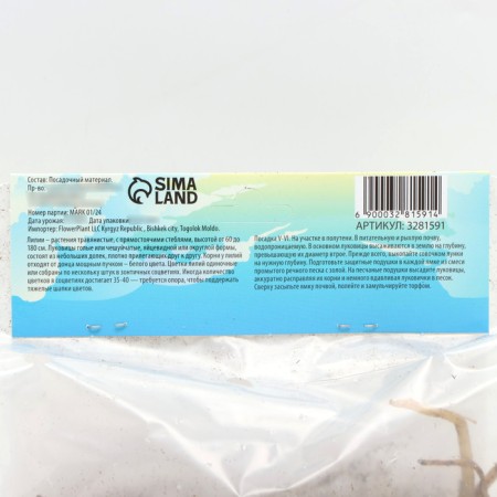Pipe Lilia "Regale", rr 12/14, 3 pcs, spring 2024-3