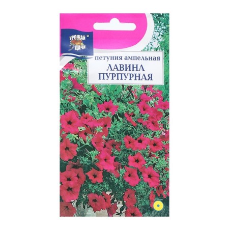 Petunia flower seeds ampel "Purple avalanche F1", 0.01g. in amp.