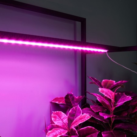 Lamp for plants LED linear, 900 mm Uniel, 14 W, LED, IP65, Color transparent-6
