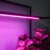 Lamp for plants LED linear, 900 mm Uniel, 14 W, LED, IP65, Color transparent