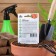 Seed Carrots "Nanta 4", 1.5 g series Hit X3