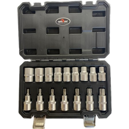 Set of end heads "Service Key" 76650, stars + nozzles, 16 pcs, E10EE24, T30T70-1